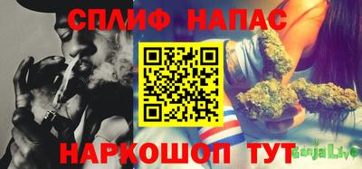 соль ск Славгород