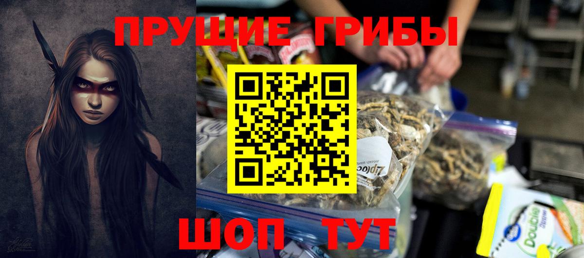 Обь  закладки  Вход с VPN  Галлюциногенные грибы GOLDEN TEACHER 