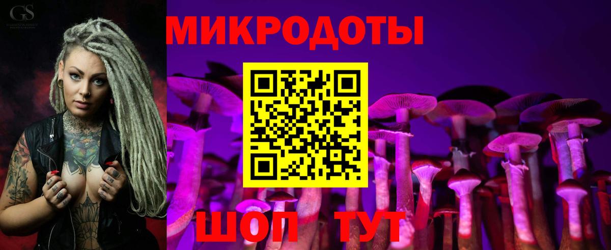 Галлюциногенные грибы мицелий Обь